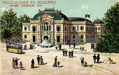 expo 1906